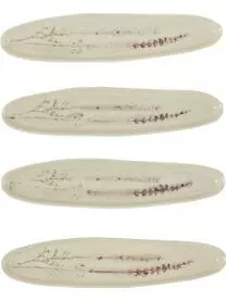 Bloomingville Handgemachte Servierplatte Bea Mit Gräser-Motiv 8 Bloomingville Handgemachte Servierplatte Bea Mit Gräser-Motiv – Bild 6