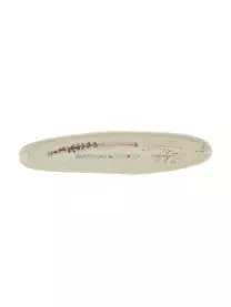 Bloomingville Handgemachte Servierplatte Bea Mit Gräser-Motiv 3 Bloomingville Handgemachte Servierplatte Bea Mit Gräser-Motiv